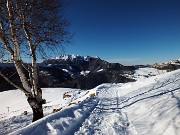 In solitaria invernale sul Sodadura da Avolasio-Piani d’Artavaggio il 1 febbraio 2015 - FOTOGALLERY